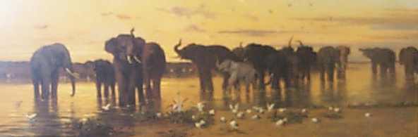 Elephants at the water hole